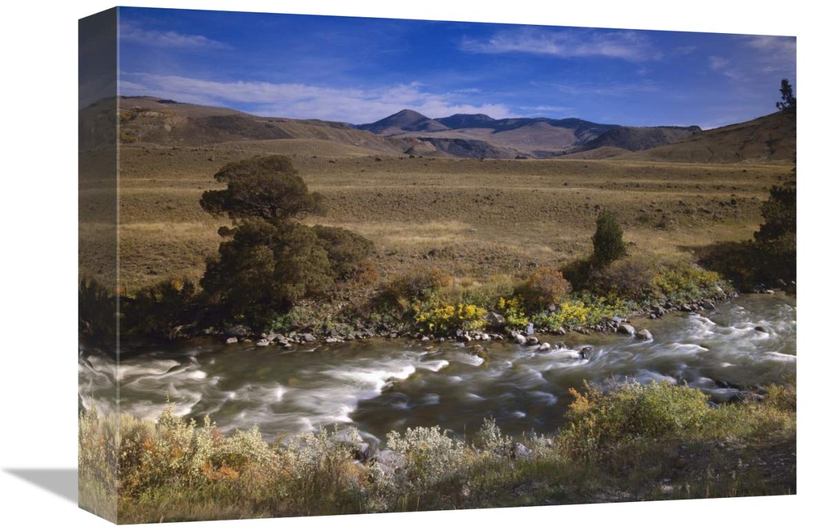 River flowing though meadow, Yellowstone National Park, Wyoming-Canvas Art-16x12”