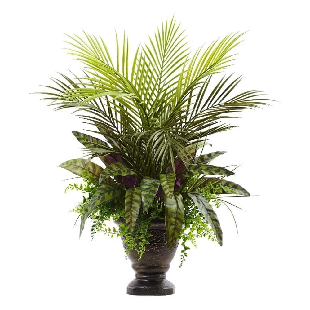 27????Mixed Areca Palm, Fern & Peacock w/Planter
