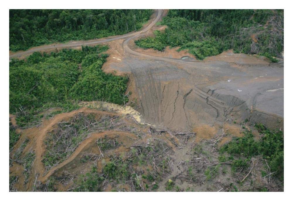 Rainforest logging activities near eastern boundary of the Kikori Delta, Papua New Guinea-Paper Art-32x22”