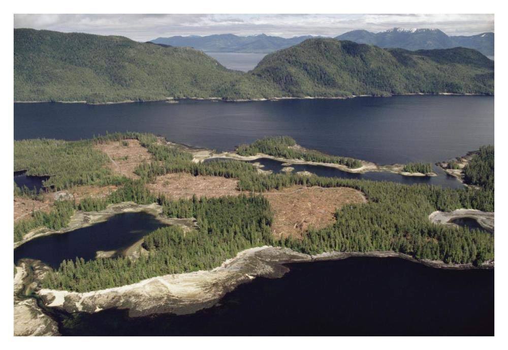 Aerial view of clearcut temperate rainforest on Prince of Wales Island, Tongass National Forest, Alaska-Paper Art-38x26”