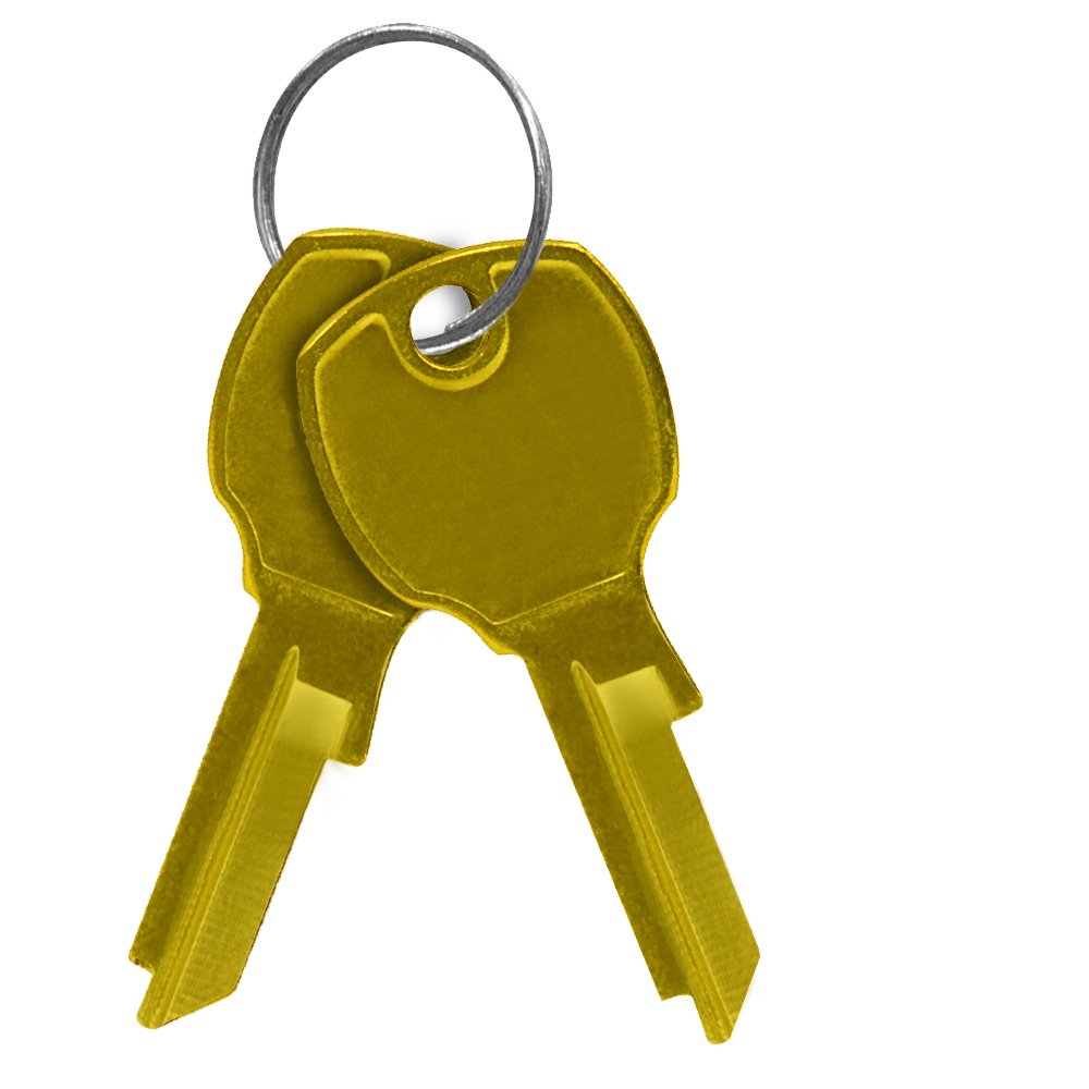 Casafoyer Brass Key Blanks for 4C Mailbox Locks - Pack of 5 ( Pack of 2 )
