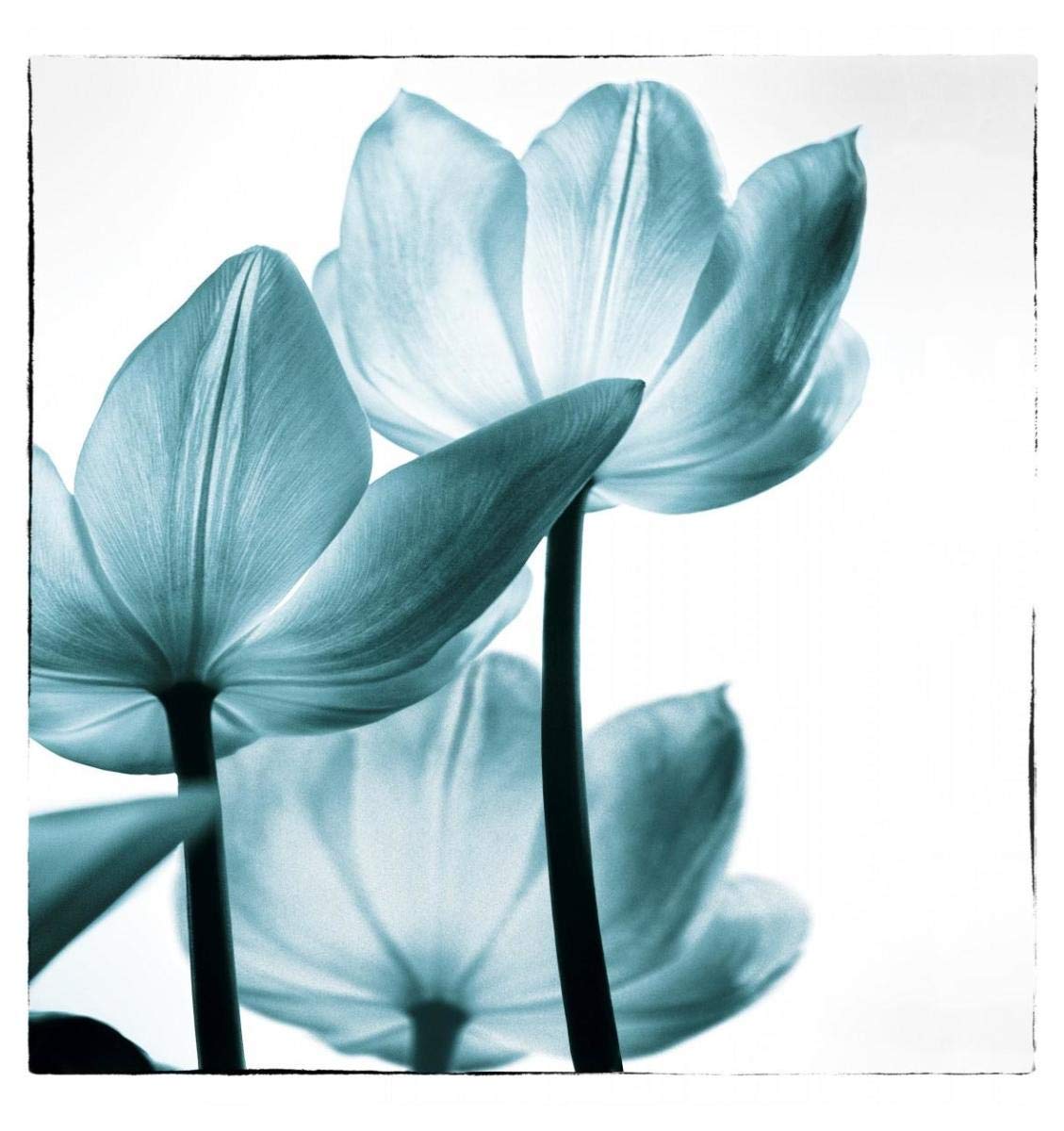 Translucent Tulips III Sq Teal -Paper Art-43.36x46”