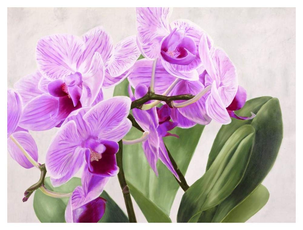 Orchidee selvagge-Paper Art-42x32”