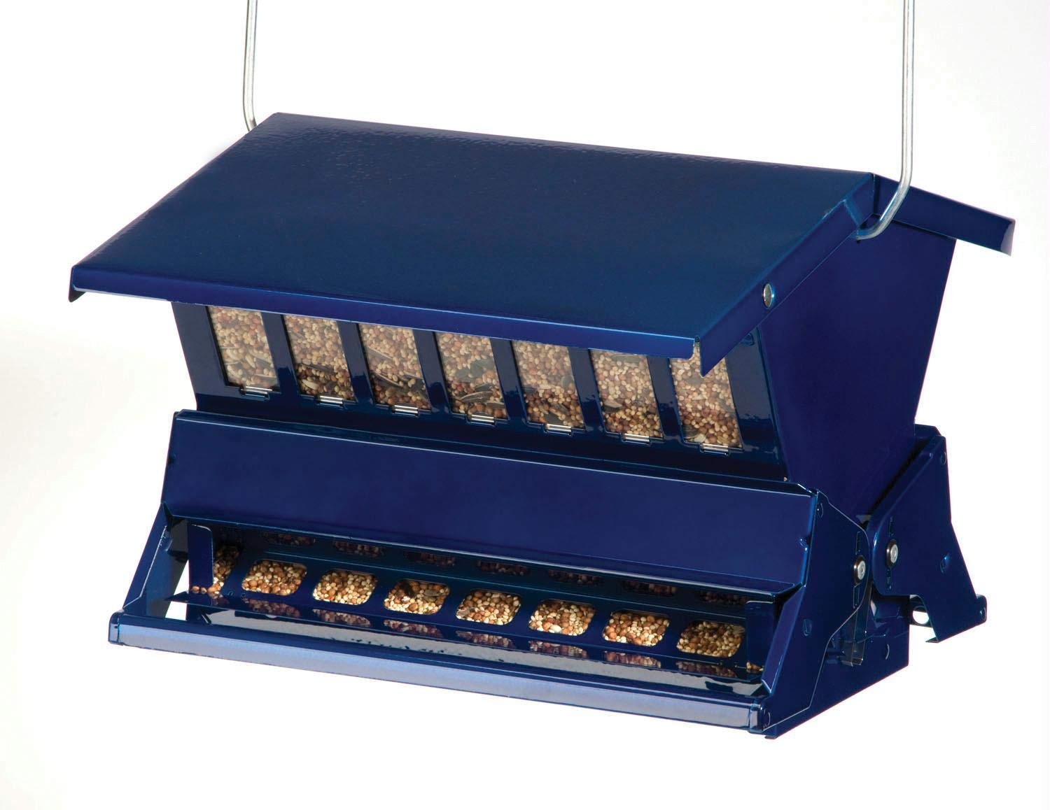 Electric Blue Absolute II
