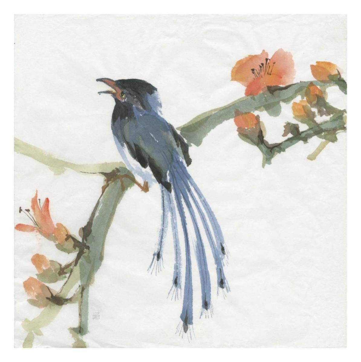 Formosan Blue Magpie -Paper Art-26x26”
