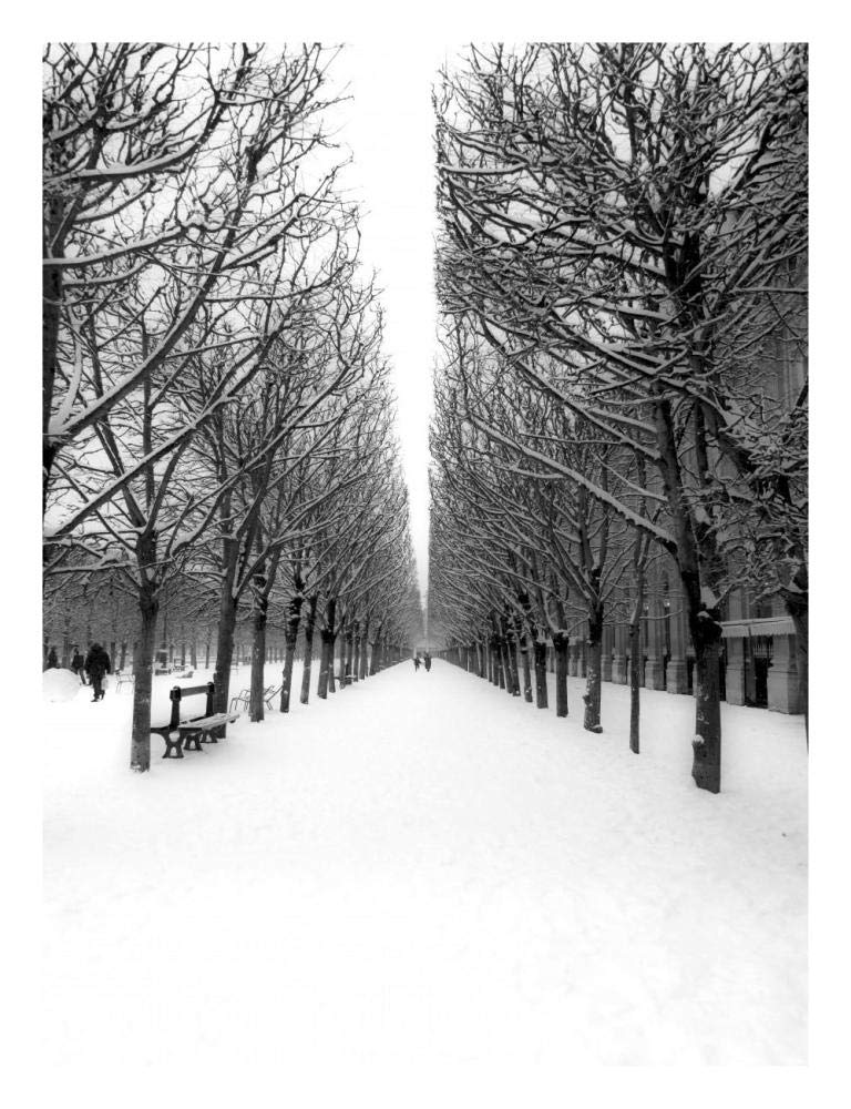 The Tuileries Garden under the snow, Paris-Paper Art-20x26”