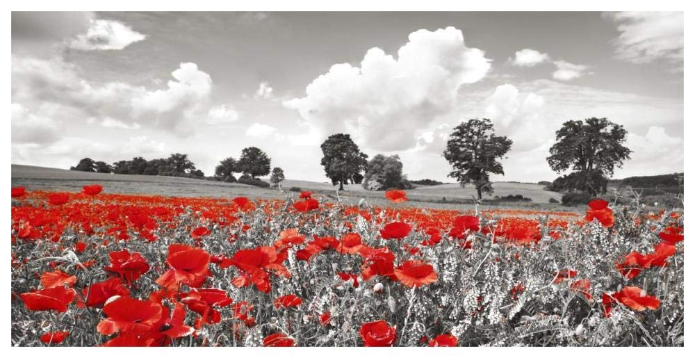 Poppies and vicias in meadow, Mecklenburg Lake District, Germany-Paper Art-62x32”