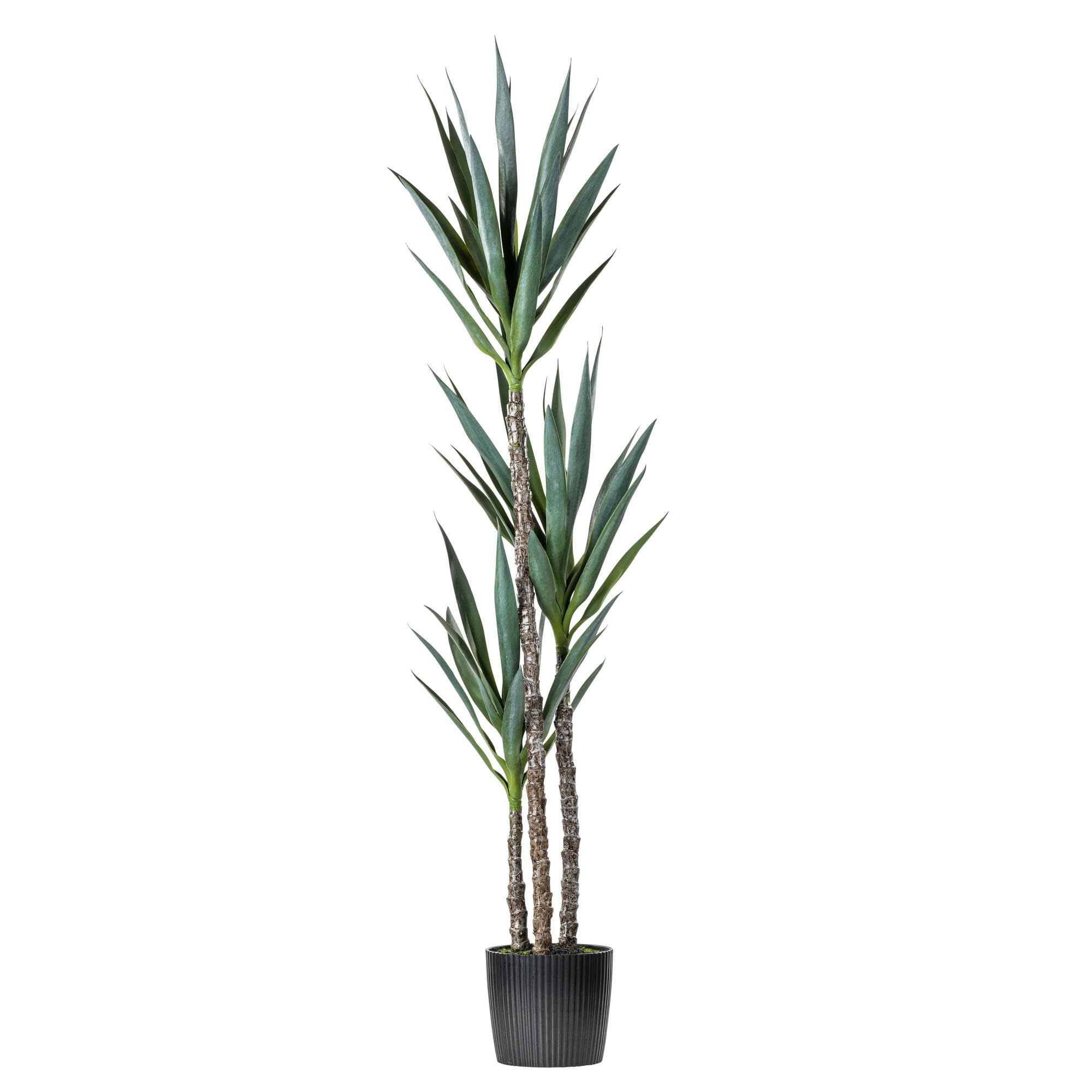 Casafoyer  60” Artificial Green Yucca Tree in Black Planters Pot. - (Pack Of 2)