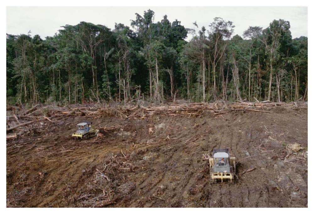 Clearing of tropical rainforest south of Lake Kutubu for Gobe oil camp, southern highlands, Papua New Guinea-Paper Art-50x34”
