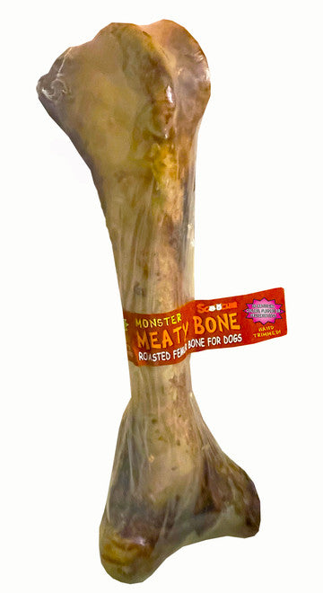 16-18″ Inch Monster Natural Meaty Bone - Scoochie Cigar Band