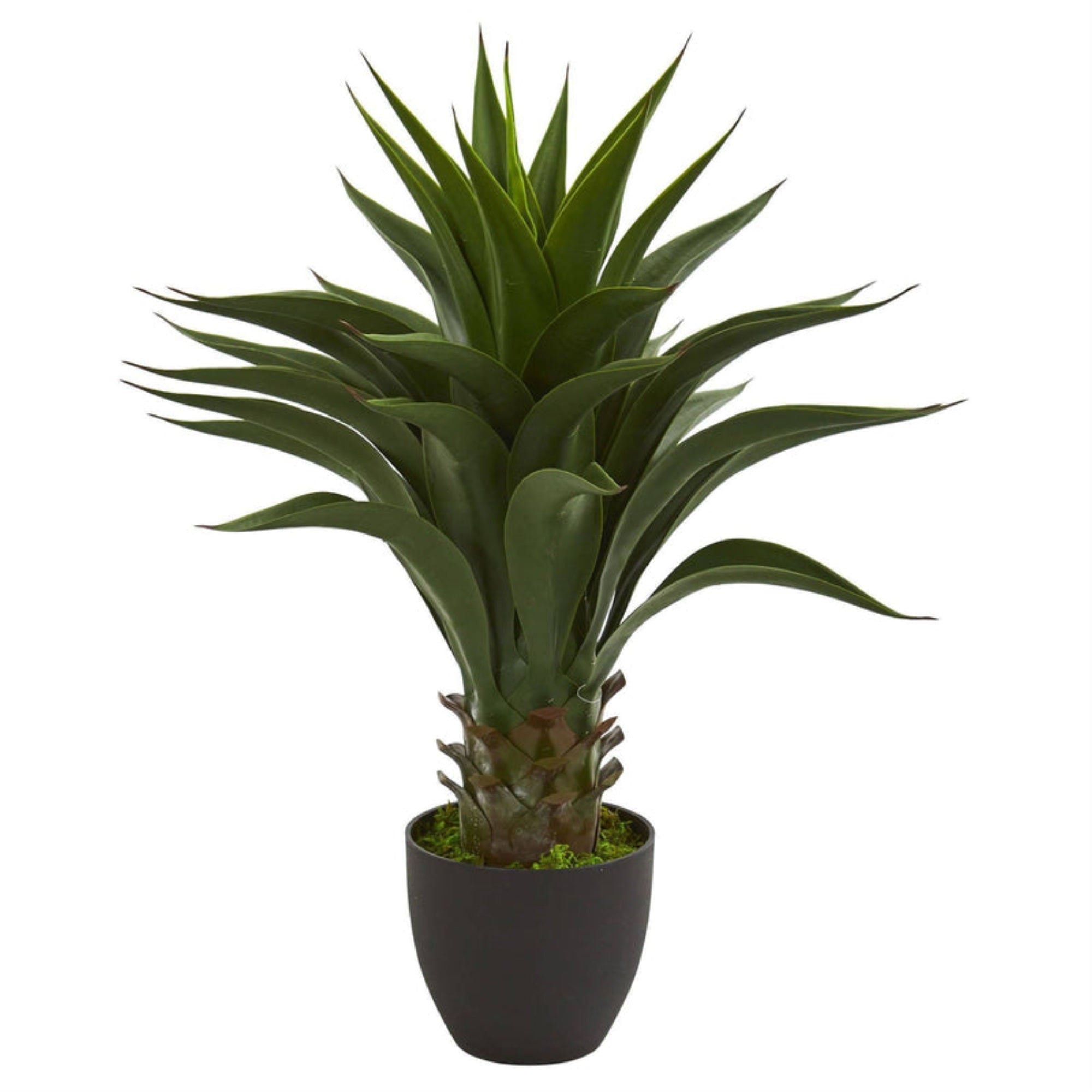 28??Agave Artificial Plant