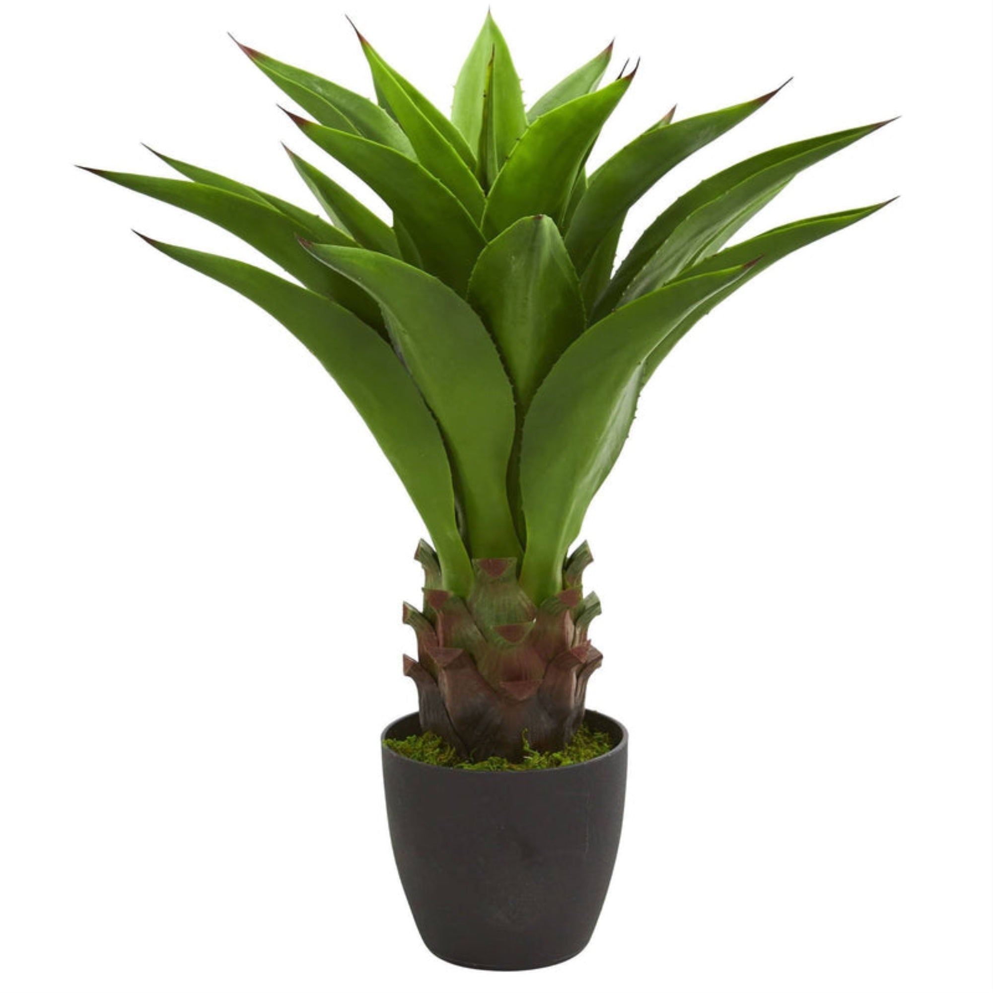 30??Agave Artificial Plant