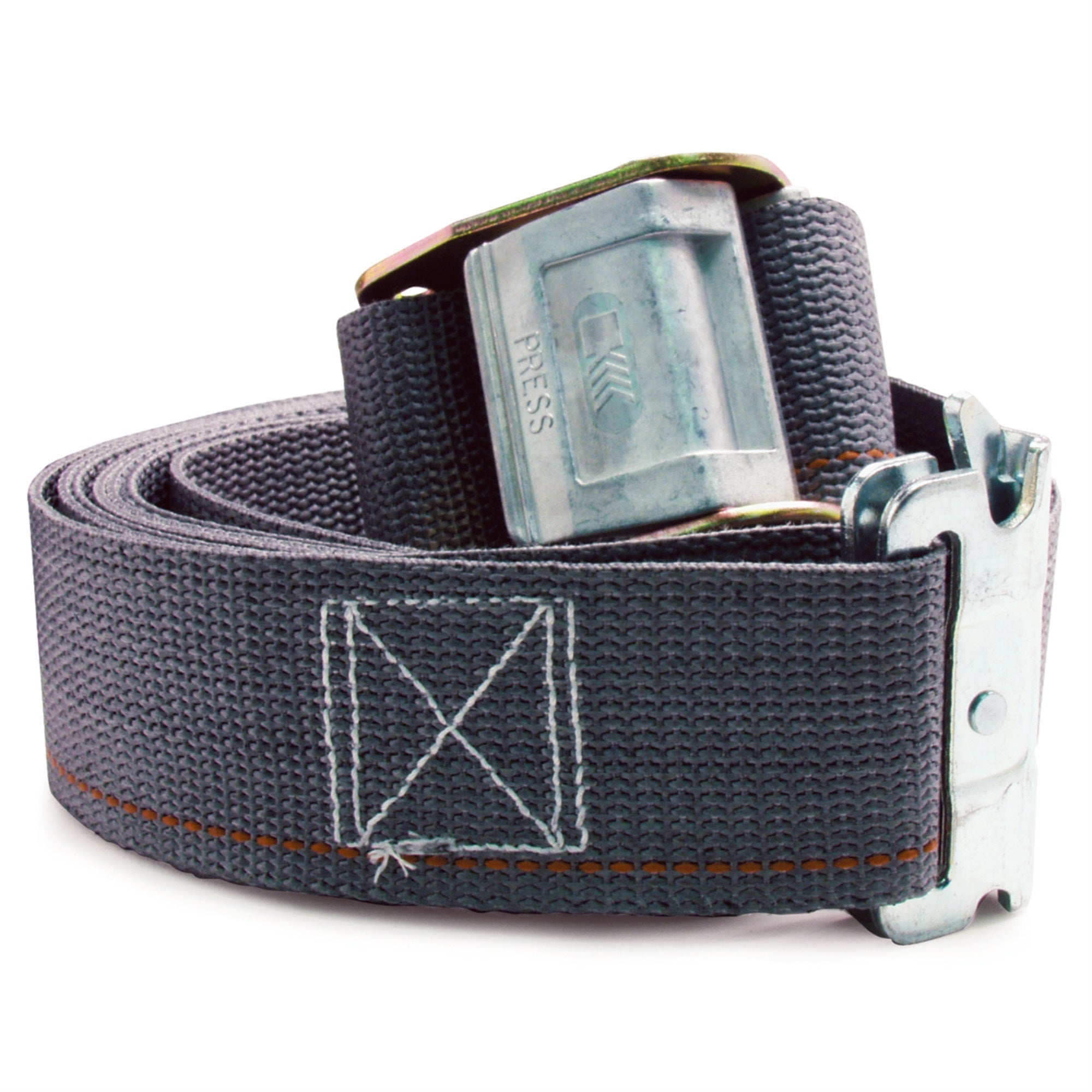 Strap 16'Cam Buckle Logistics W.E-Clips