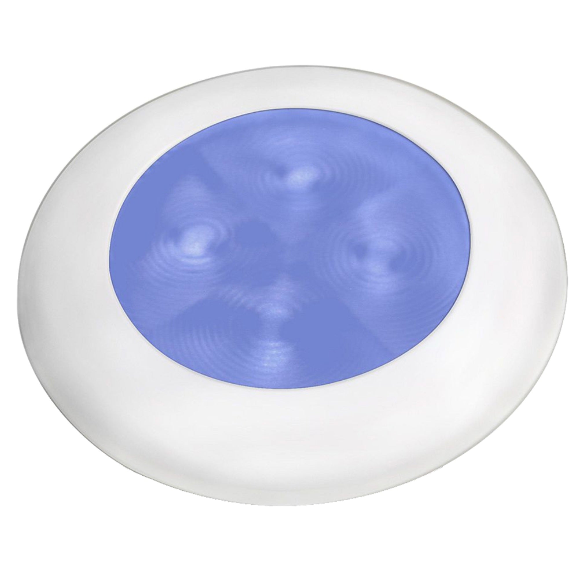 Hella Slim Line Courtesy Hi  Intensity Blue White Bezel 12V