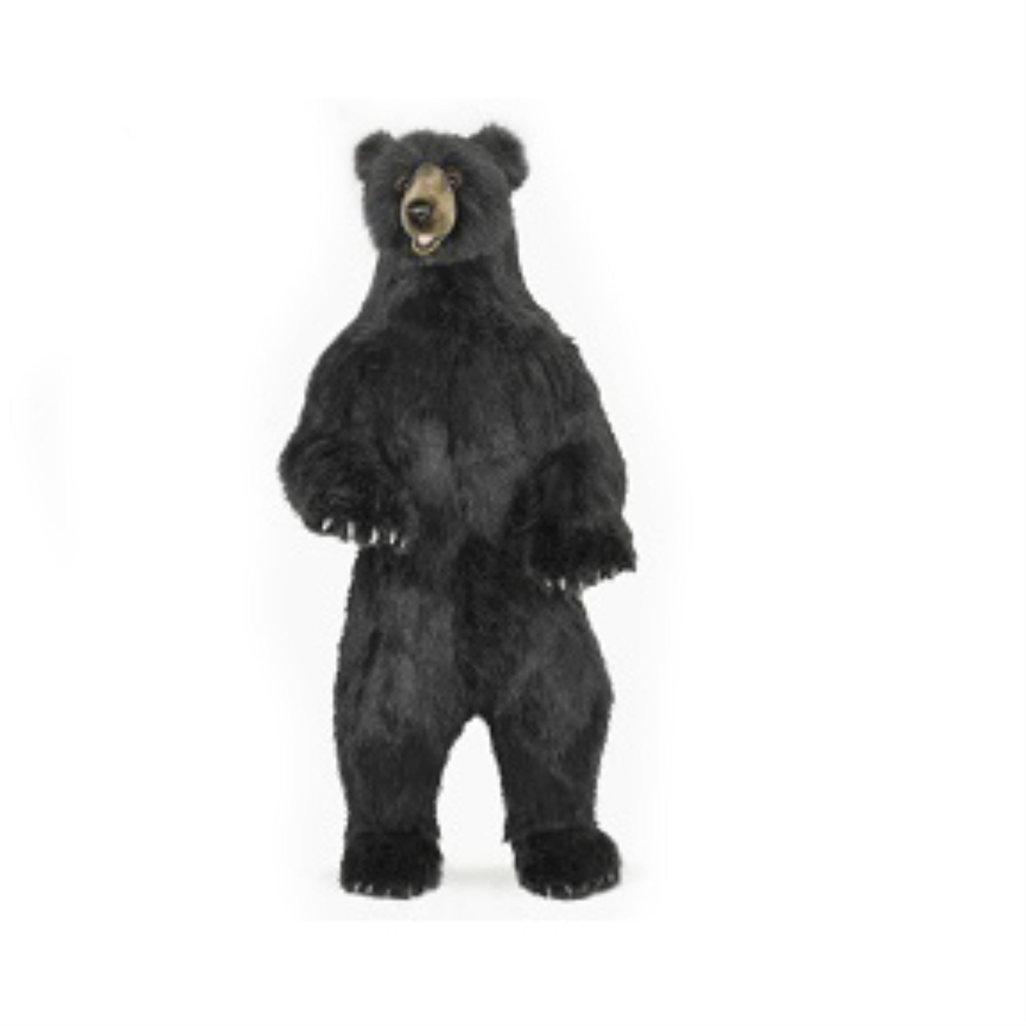 Black Bear Upright 60H