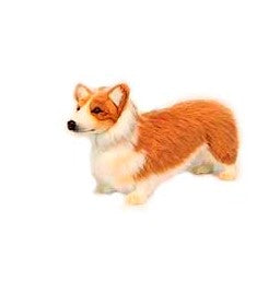 Welch Corgi 13.7' L