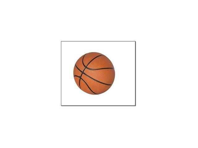 Light Up Mini Basketball Bounce Balls