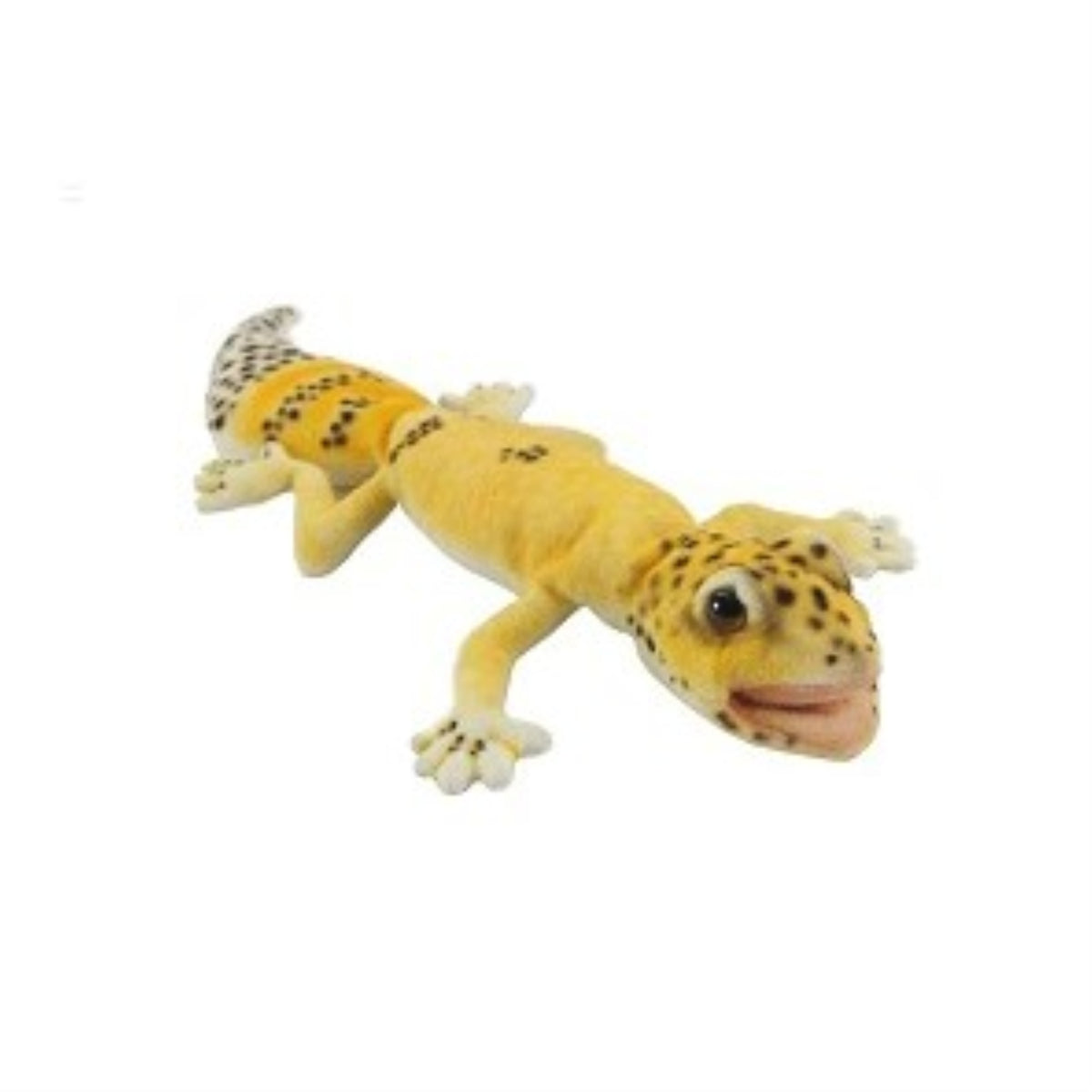Carrot Tail Gecko 10'