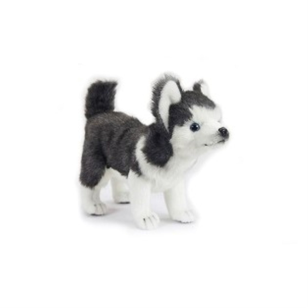 Husky Pup 11'