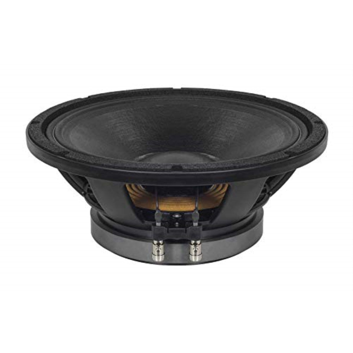 High Power 12-In Woofer With50 - 3000 Hz Frequency Range