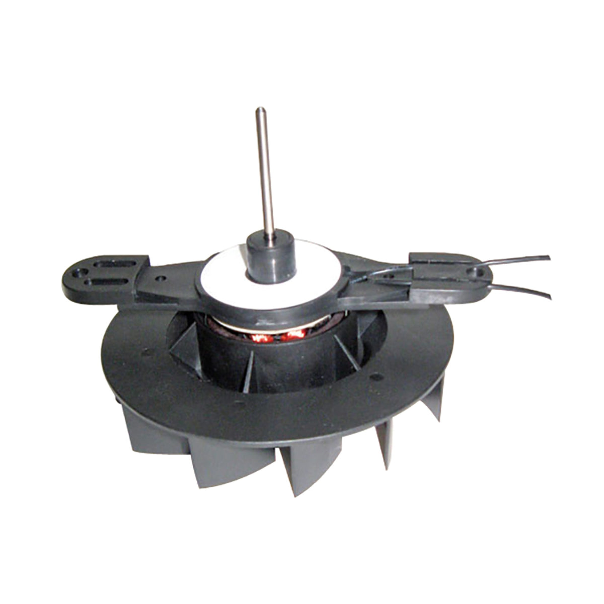12V Cooler Doubleshaft Motor Replacement