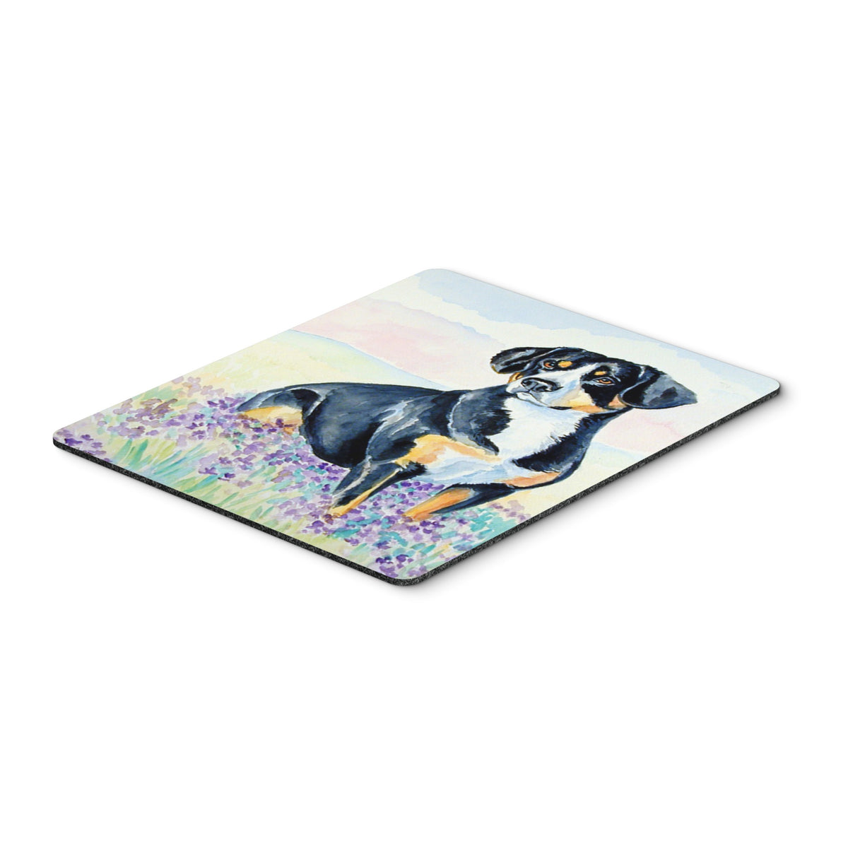 Caroline'S Treasures Mouse/Hot Pad/Trivet, Entlebucher Mountain Dog (7030Mp)