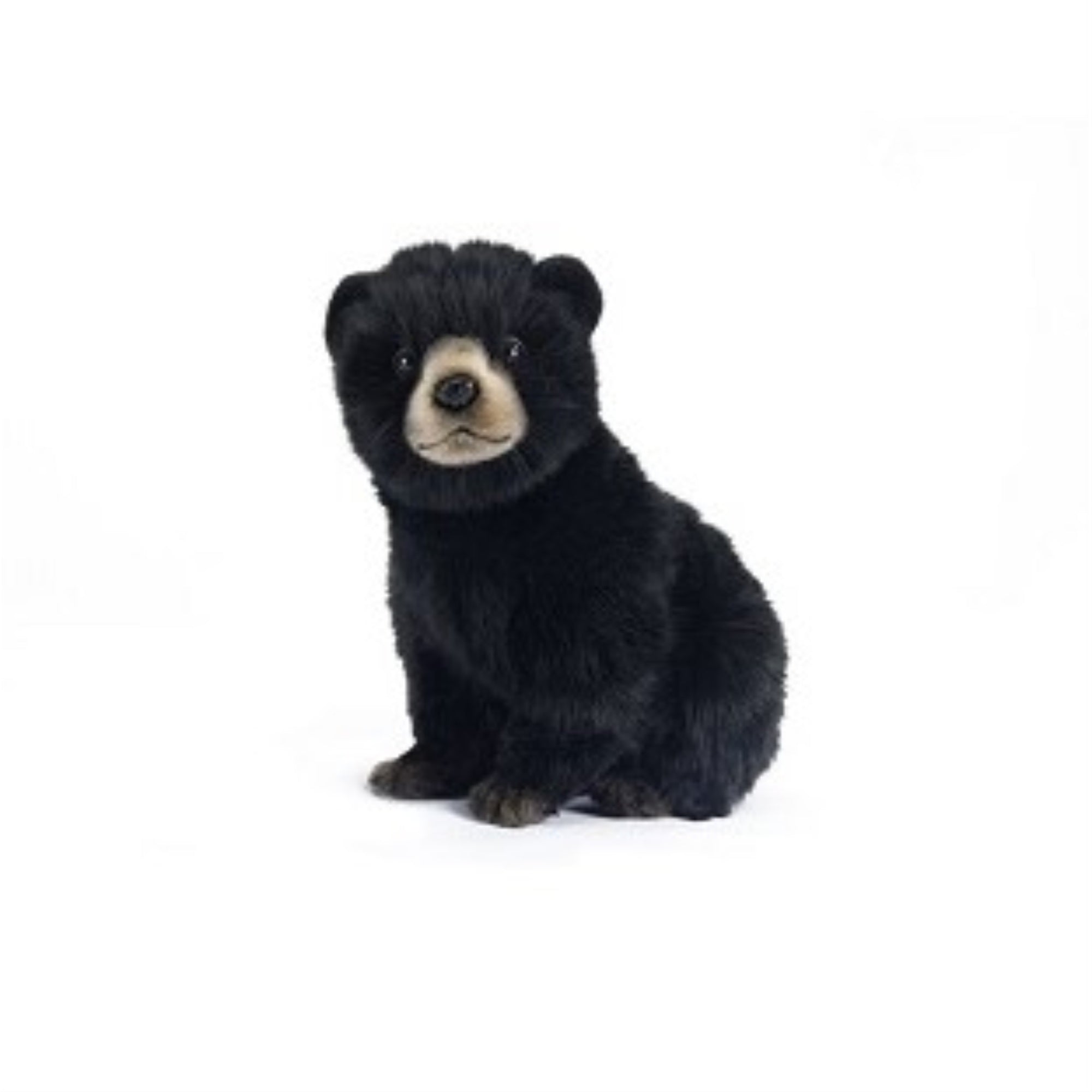 Black Bear Cub 10'