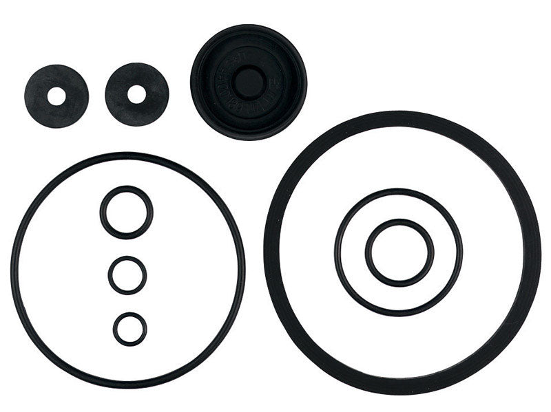 Piston Pump Repair Kit (Pack Of 1)
