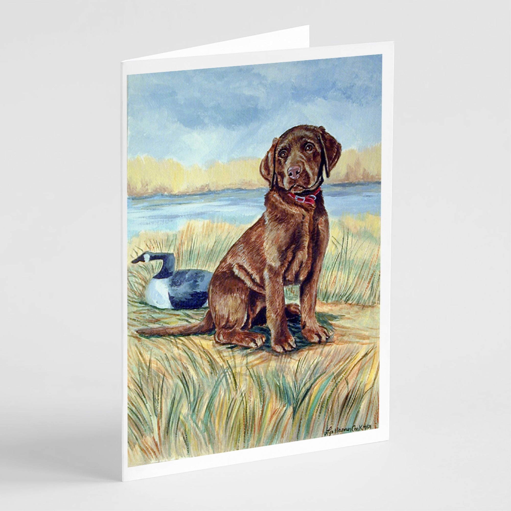 Chocolate Labrador Puppy   Greeting Cards And Envelopes Pack Of 8