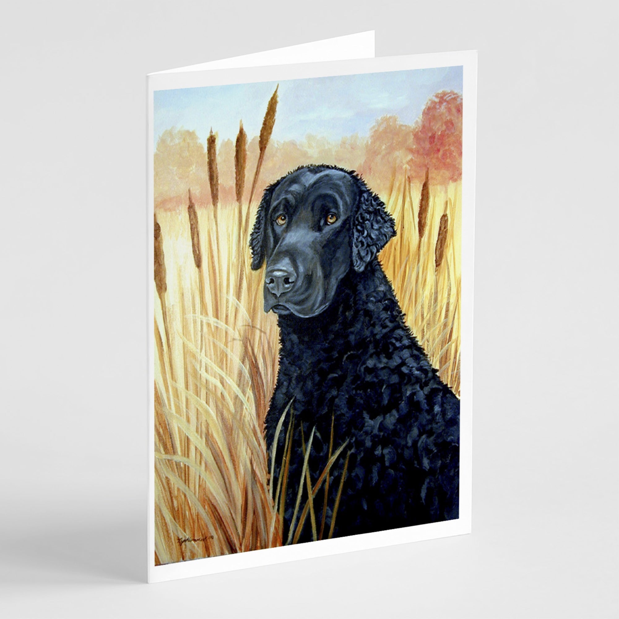 Curly Coated Retriever  Greeting Cards And Envelopes Pack Of 8