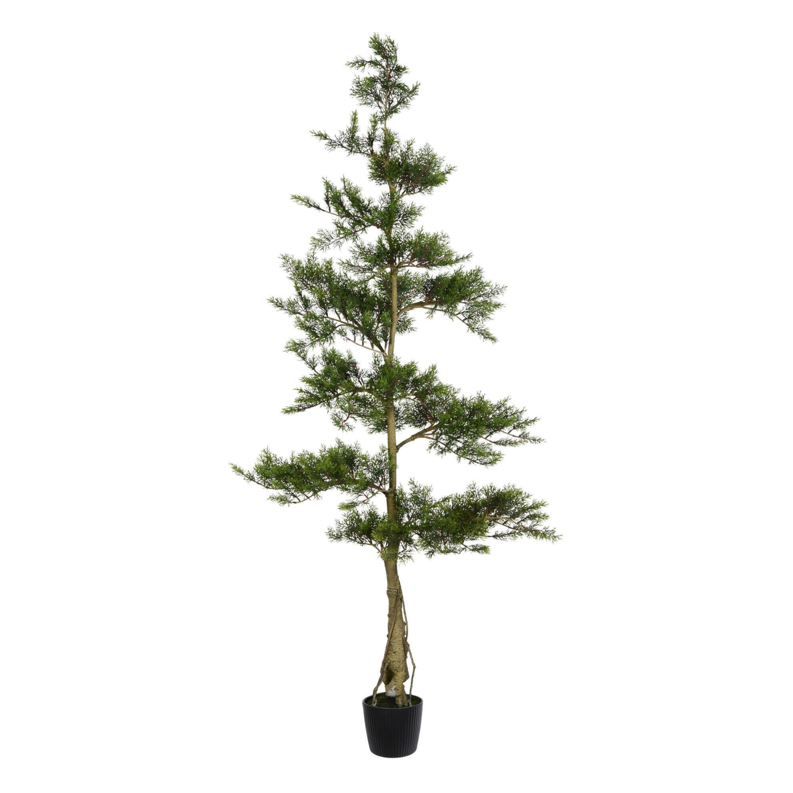 Casafoyer 6-Foot Artificial Cedar Tree - Lifelike Indoor Decor ( Pack of 2 )