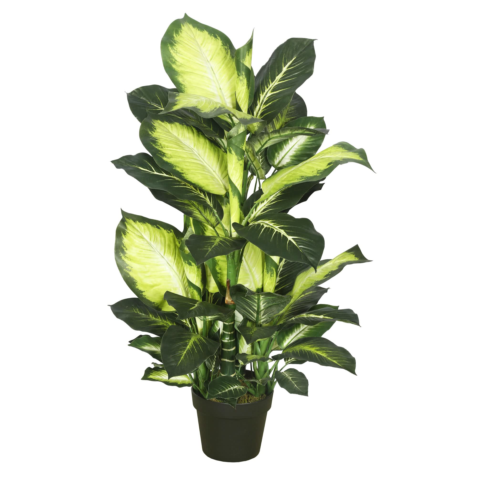 Casafoyer  40” Dieffenbachia w/pot-Green White - TA170201 - (Pack Of 2)