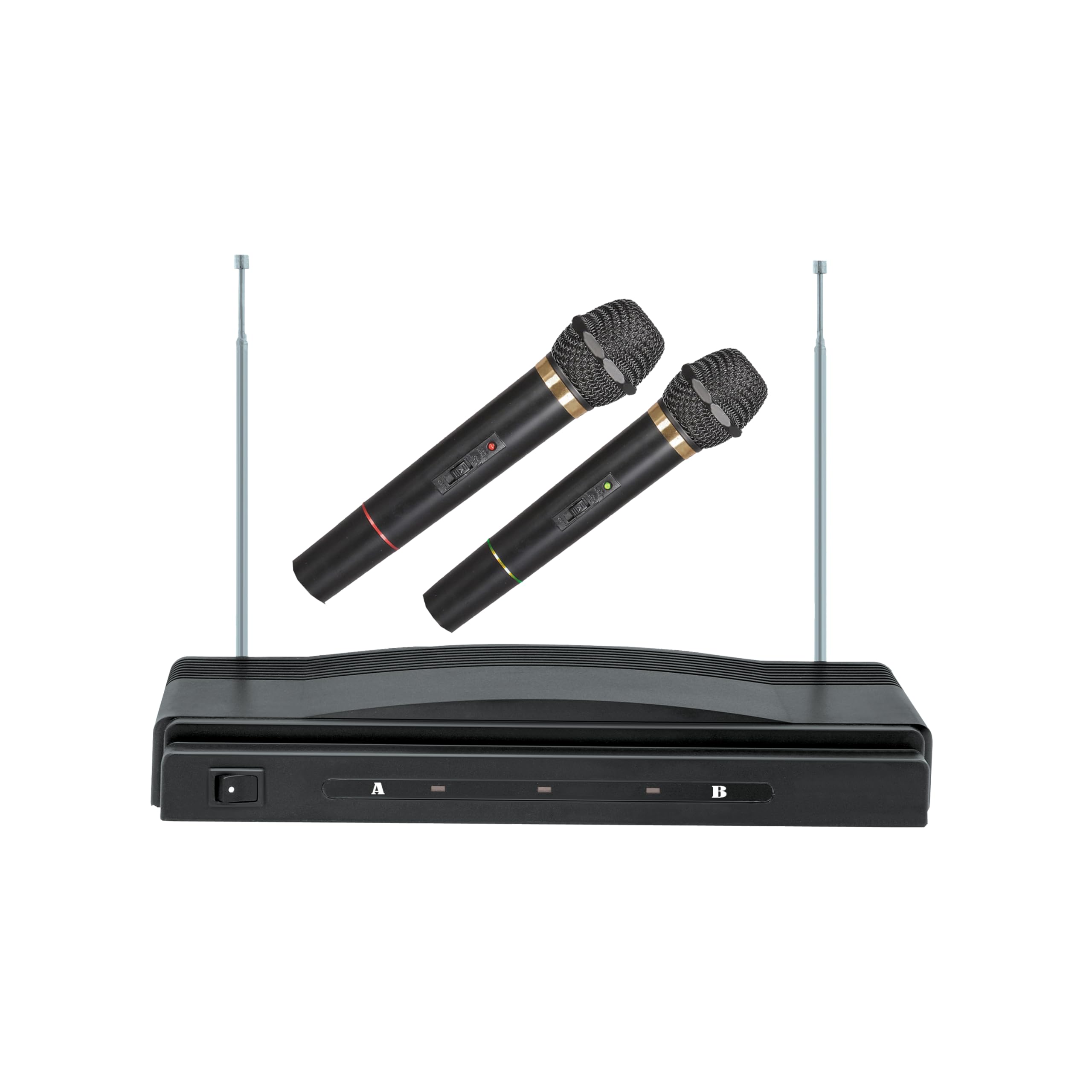 DUAL WRLSS MIC SYS