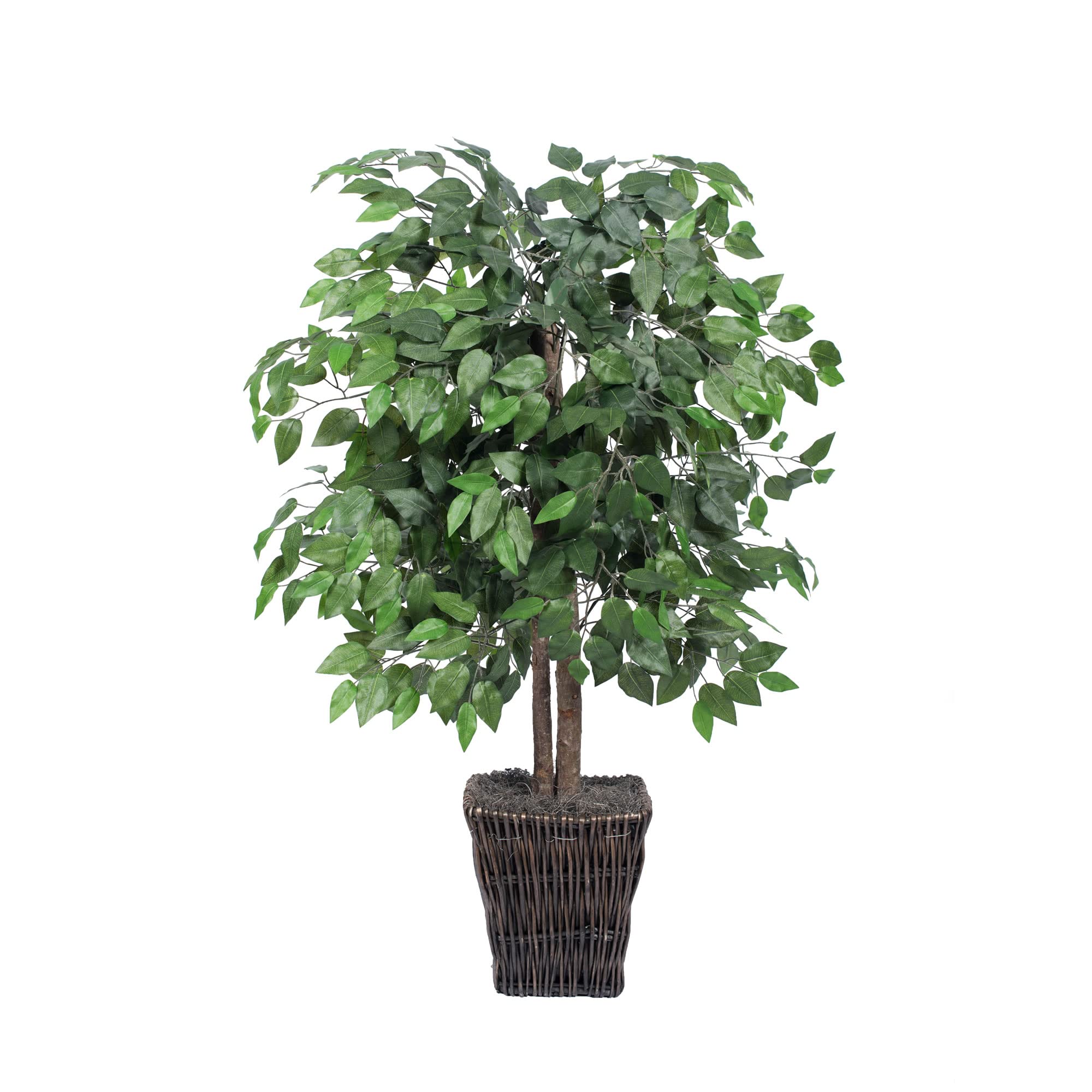 Casafoyer Lifelike 6″ Real Touch Dracaena Tree for Home or Office Decor ( Pack of 2 )