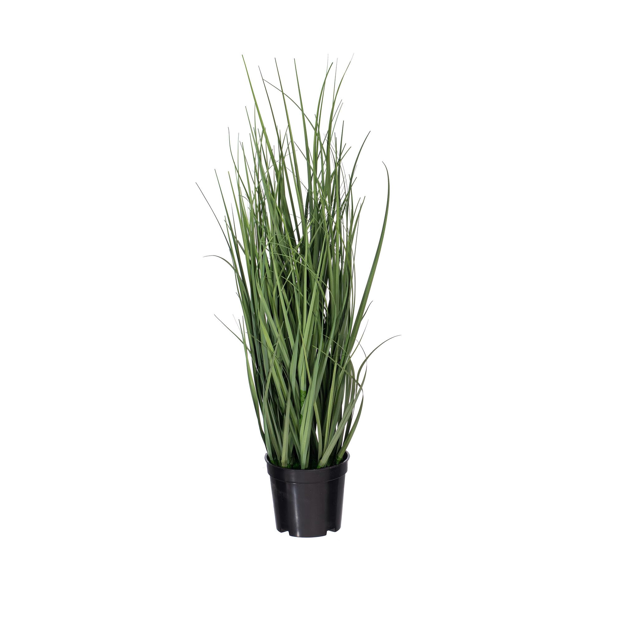 Casafoyer 24” Artificial Potted Green Ryegrass - Maintenance-Free Home Decor ( Pack of 2 )