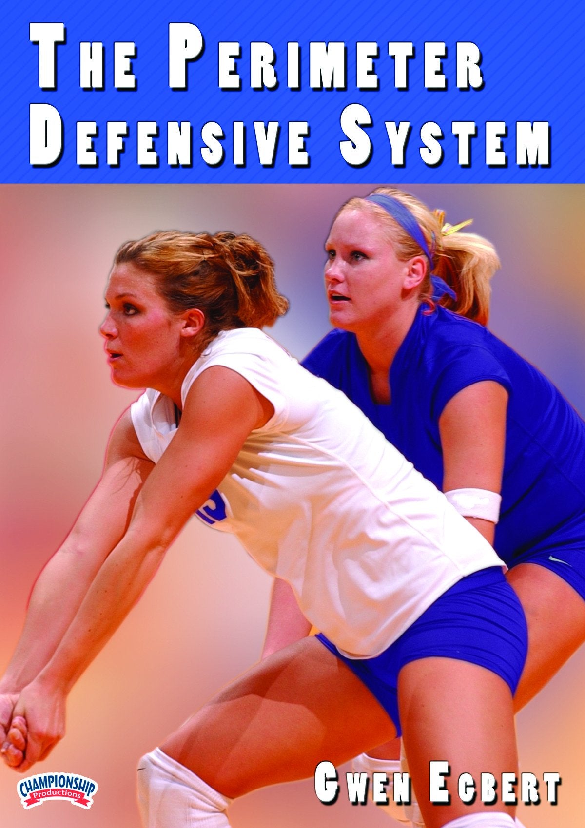 THE PERIMETER DEFENSIVE SYSTEM(EGBERT)