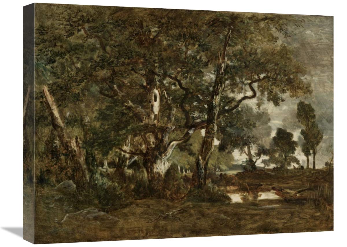 Forest of Fontainebleau, Cluster of Tall Trees Overlooking the Plain of Clair-Bois at the Edge of Bas-Breau-Canvas Art-24x18”