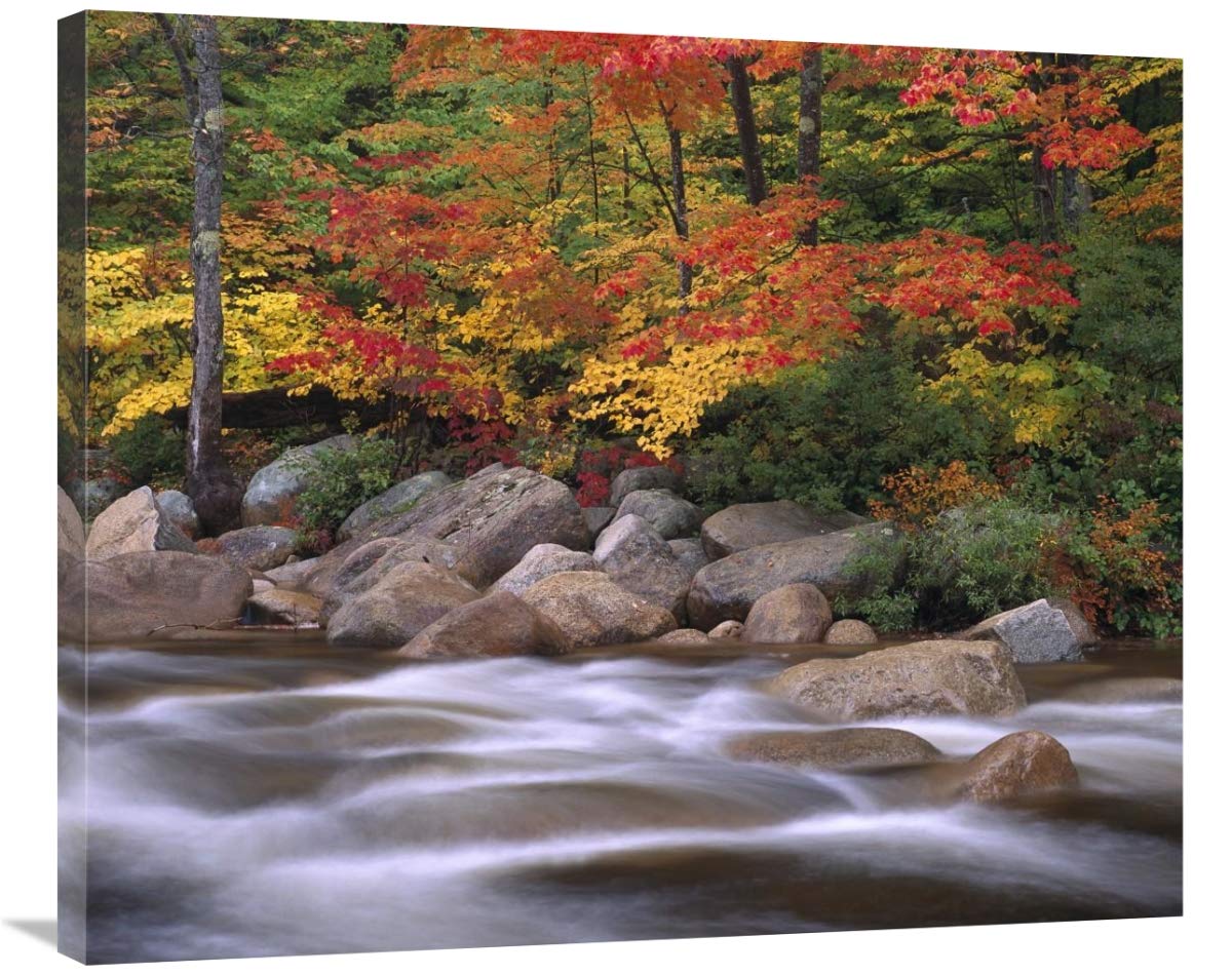 Autumn along Swift River, White Mountains National Forest, New Hampshire-Canvas Art-36x29.88”