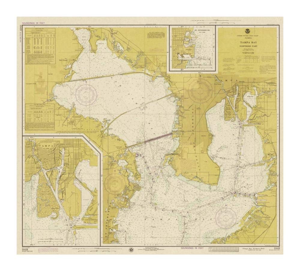Nautical Chart - Tampa Bay - Northern Part ca. 1975 - Sepia Tinted-Paper Art-18x16”