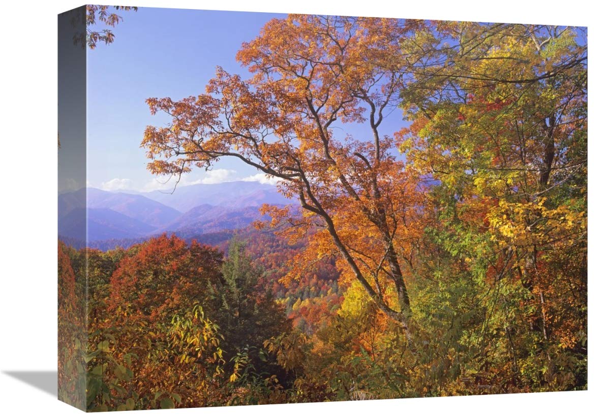 Great Smoky Mountains from, Blue Ridge Parkway, North Carolina-Canvas Art-16x12”