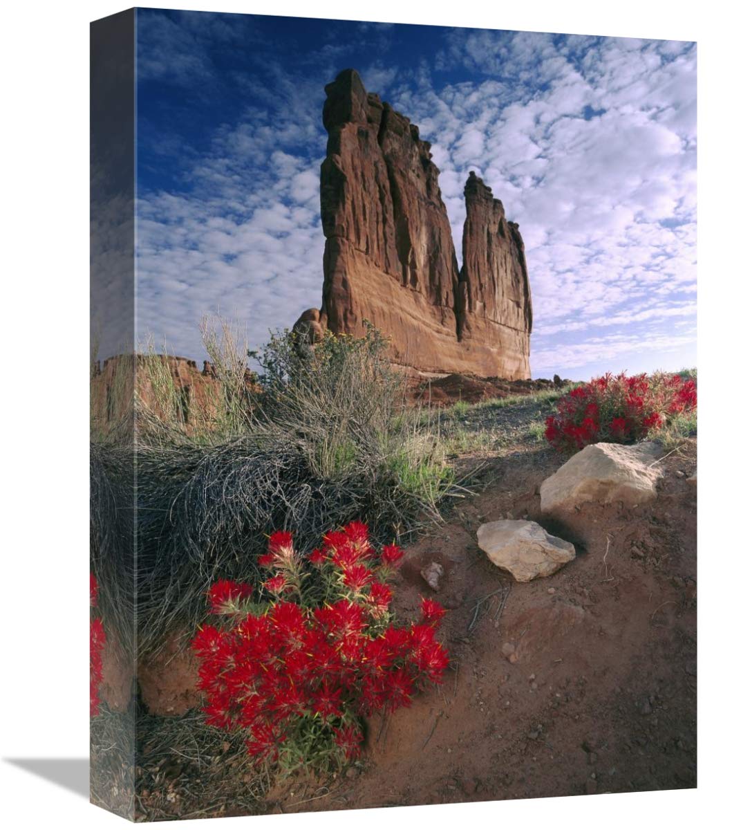 Paintbrush and the Organ Rock, Arches National Park, Utah-Canvas Art-12x16”