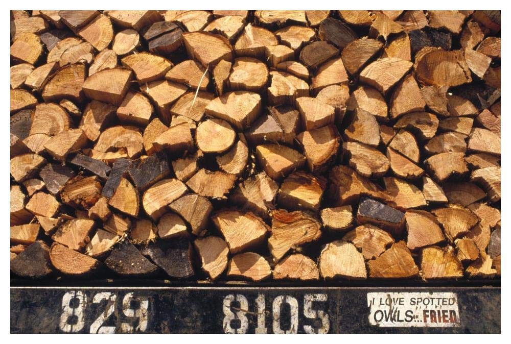 Firewood hauled from clearcut on truck bed with I Love Spotted Owls, Fried bumper sticker, Suislaw National Forest, Oregon-Paper Art-50x34”