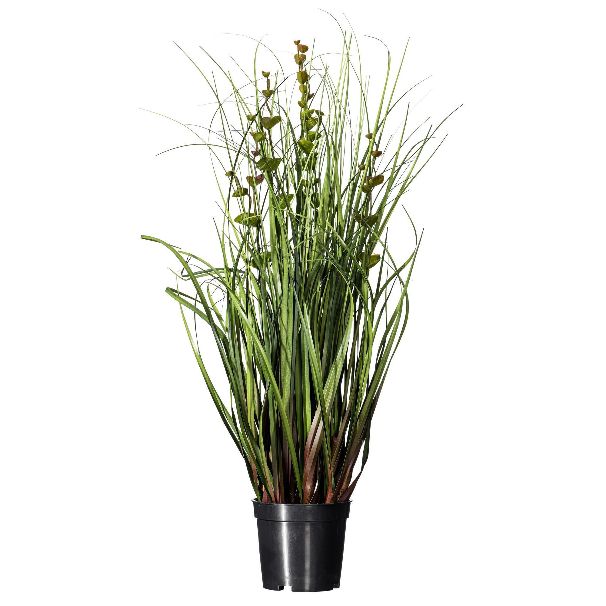 Casafoyer  24” Eucalyptus Grass Potted - TN170224 - (Pack Of 2)