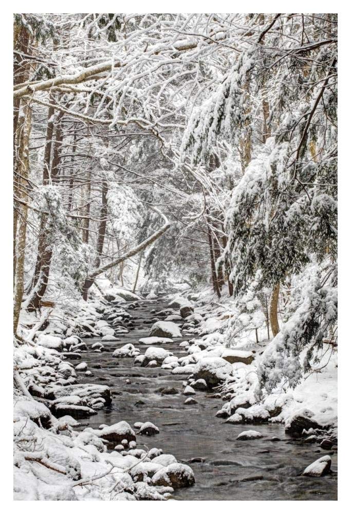 Stream in winter, Nova Scotia, Canada-Paper Art-14x20”