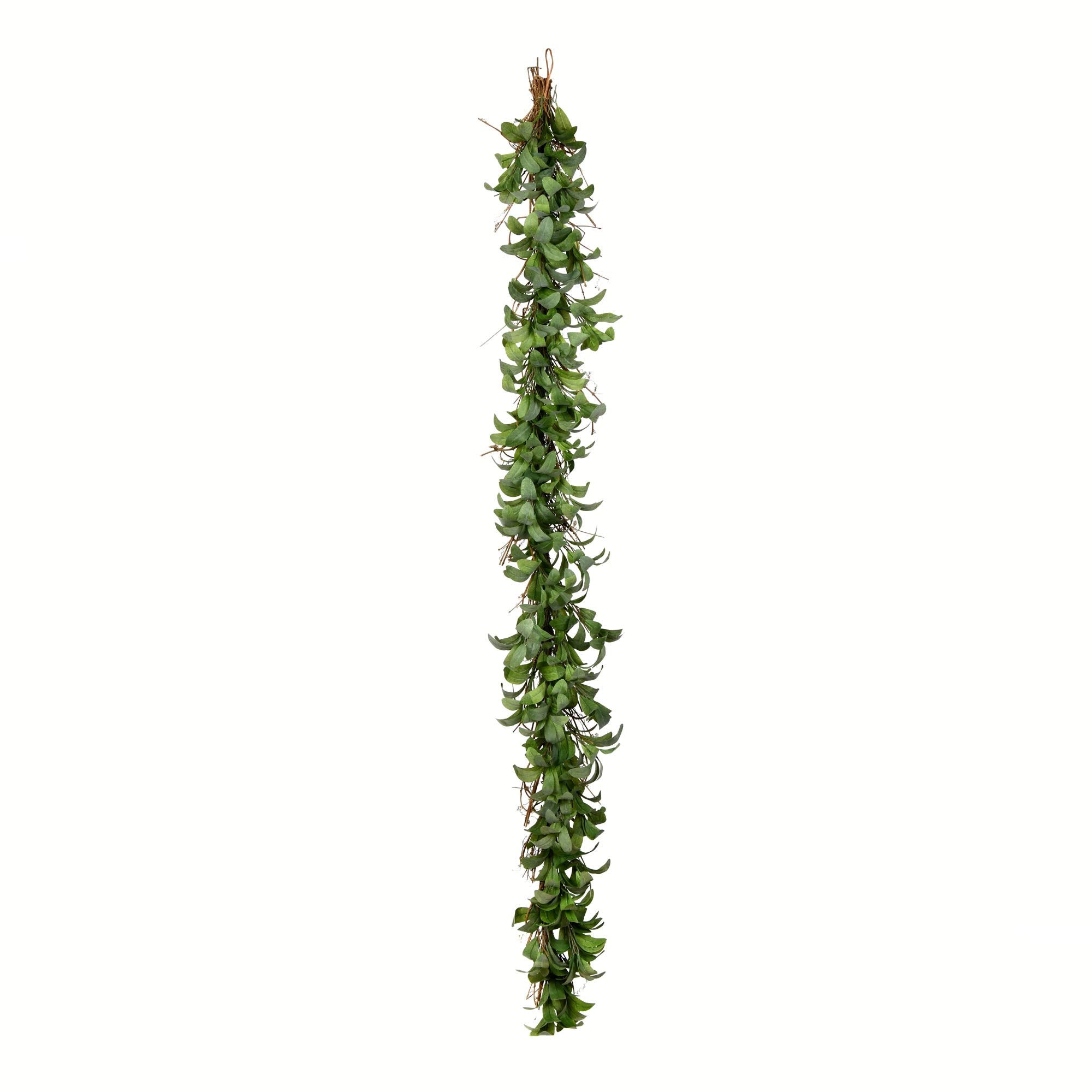 Casafoyer 6' Lamb Ear Garland - (Pack Of 2)