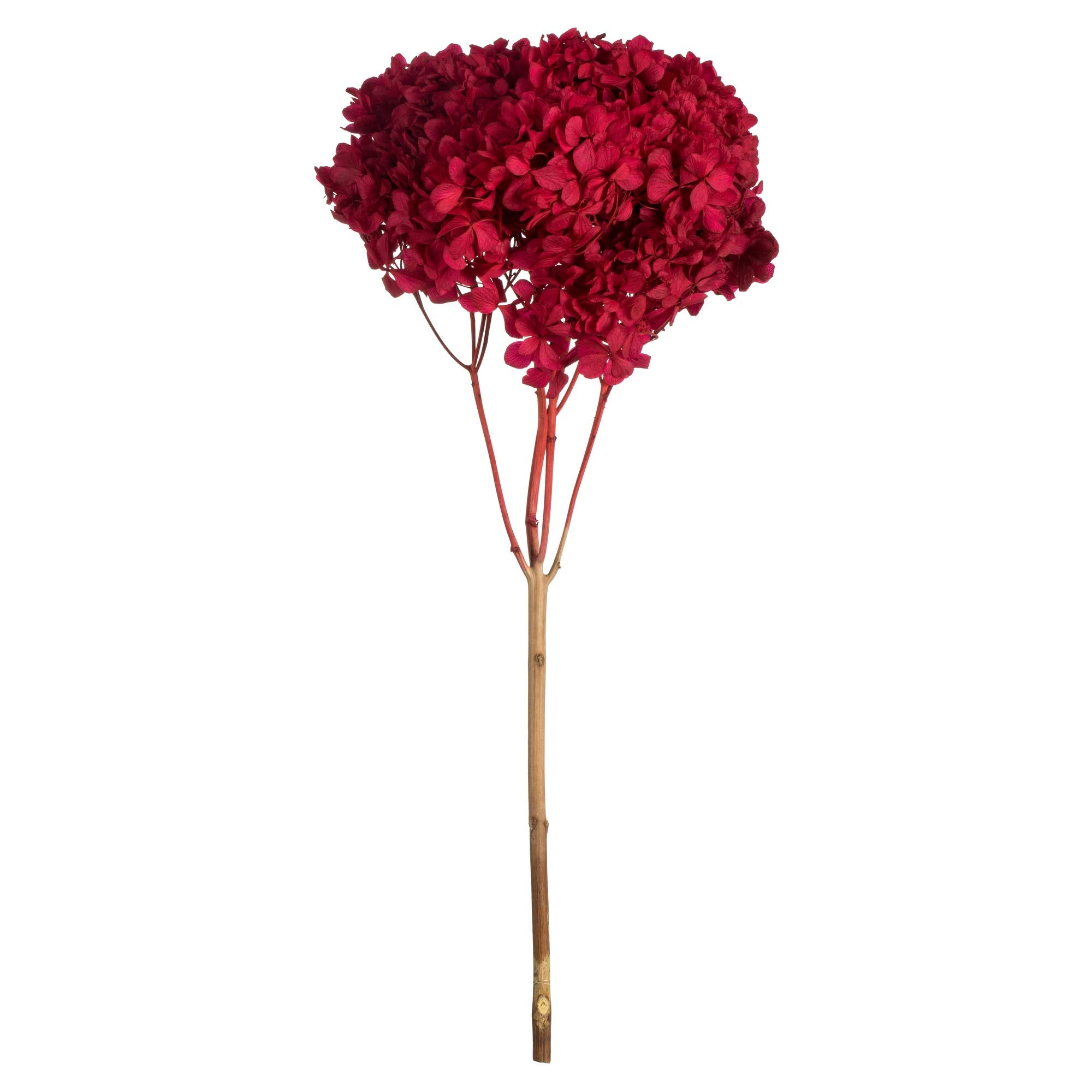 Casafoyer 15” Red Hydrangea Stem - (Pack Of 2)