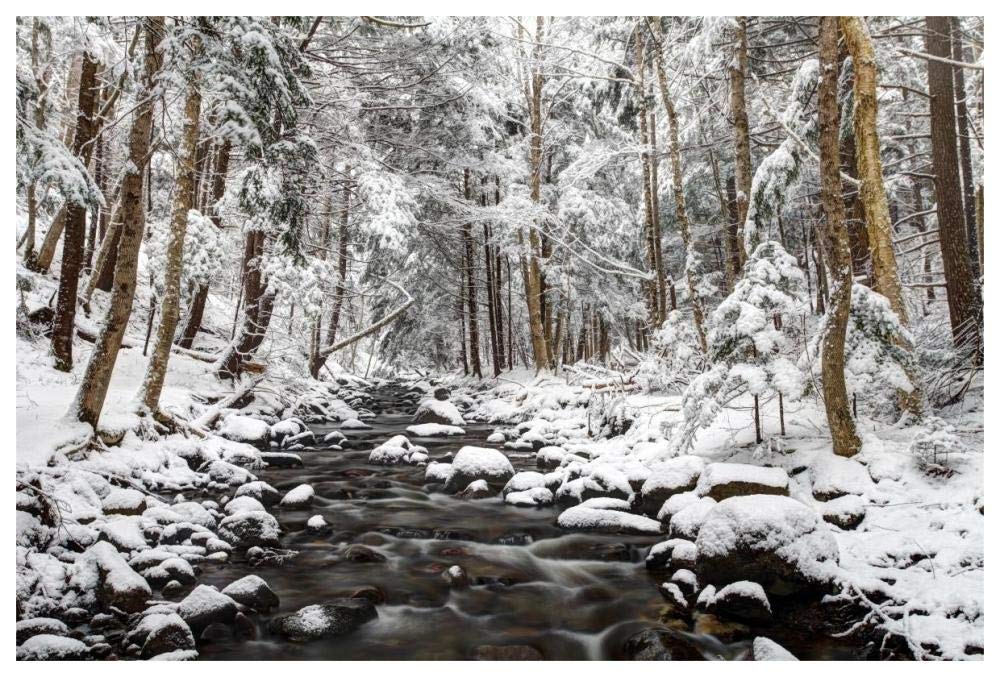 Stream in winter, Nova Scotia, Canada-Paper Art-62x42”