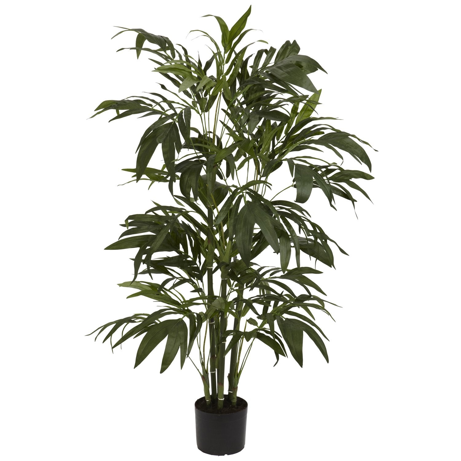 4 Bamboo Palm Silk Tree