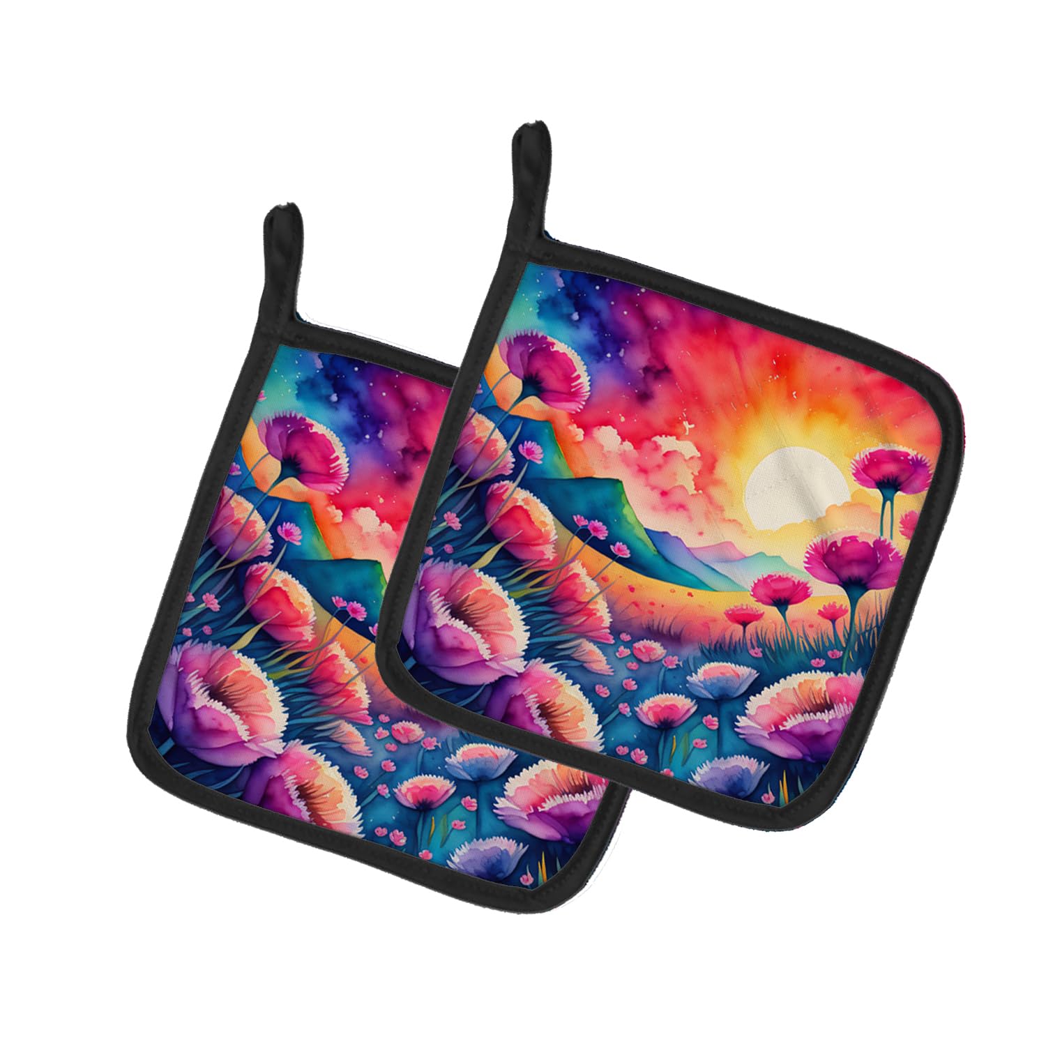 Colorful Dianthus Pair of Pot Holders