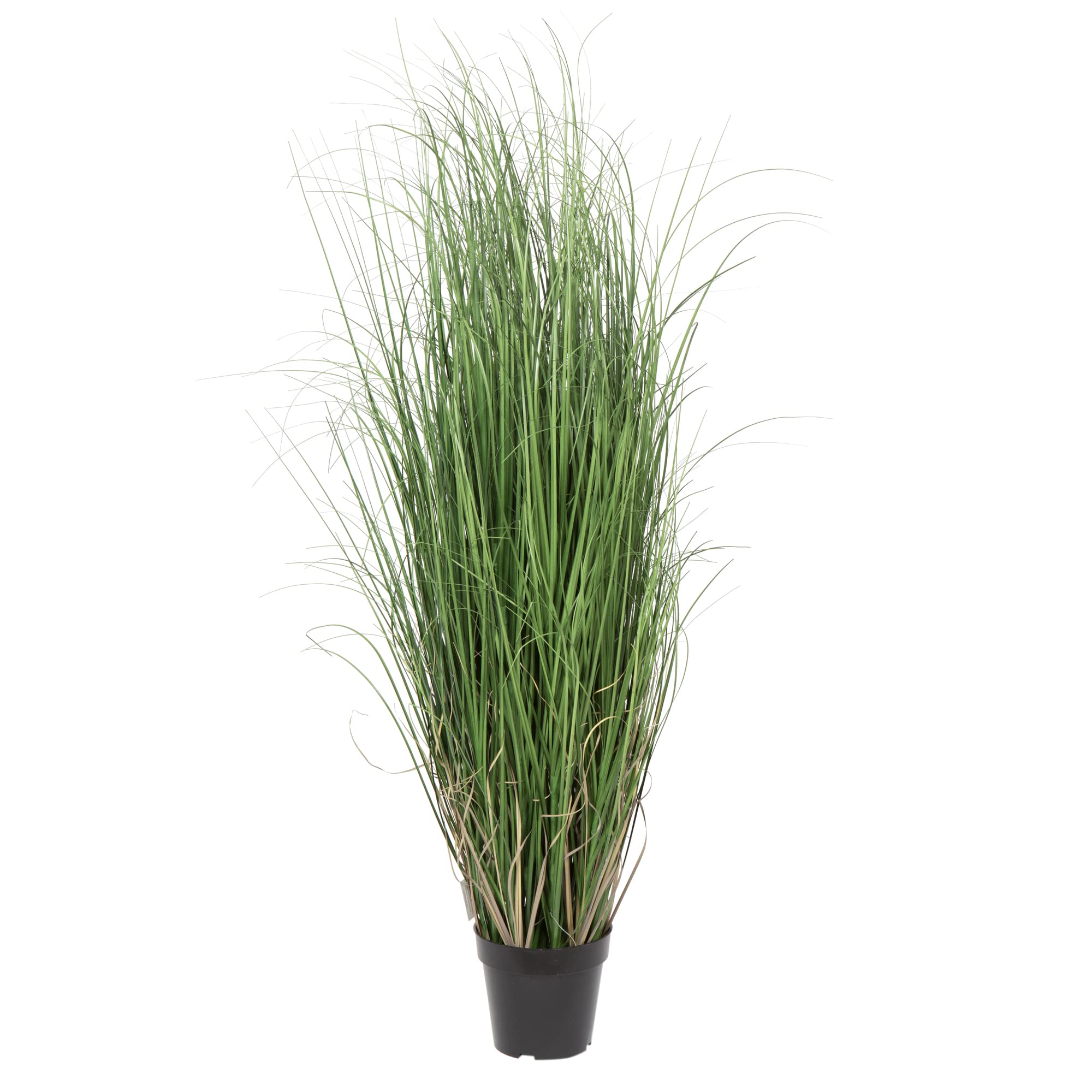 Casafoyer  48” Green Curled Grass in Pot - TN170648 - (Pack Of 2)